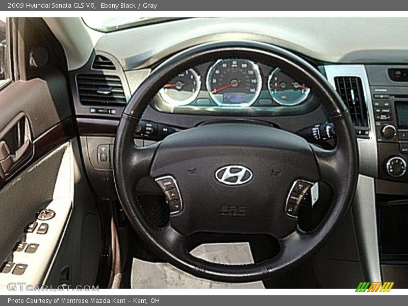 Ebony Black / Gray 2009 Hyundai Sonata GLS V6