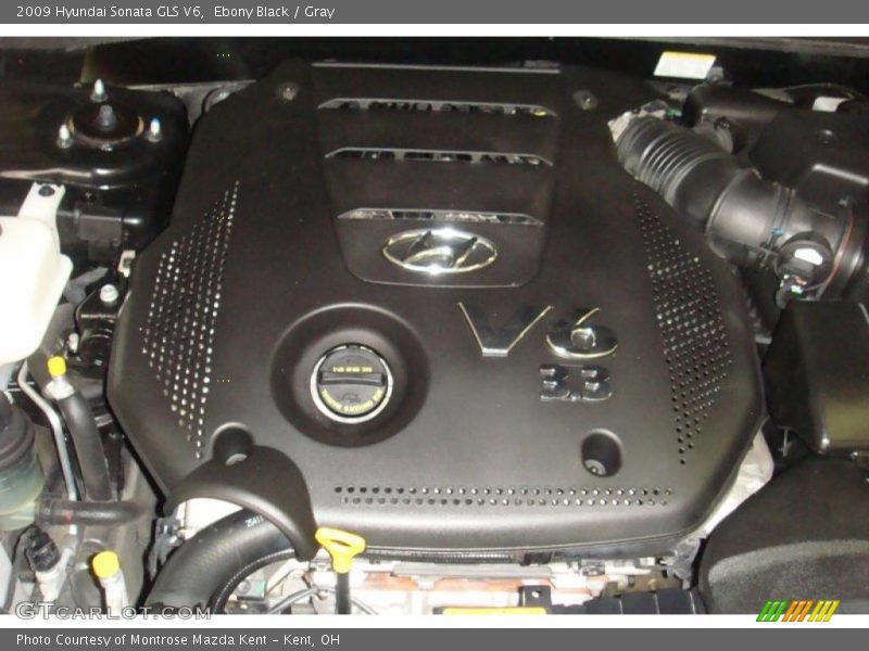 Ebony Black / Gray 2009 Hyundai Sonata GLS V6