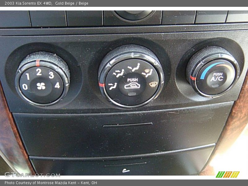 Gold Beige / Beige 2003 Kia Sorento EX 4WD