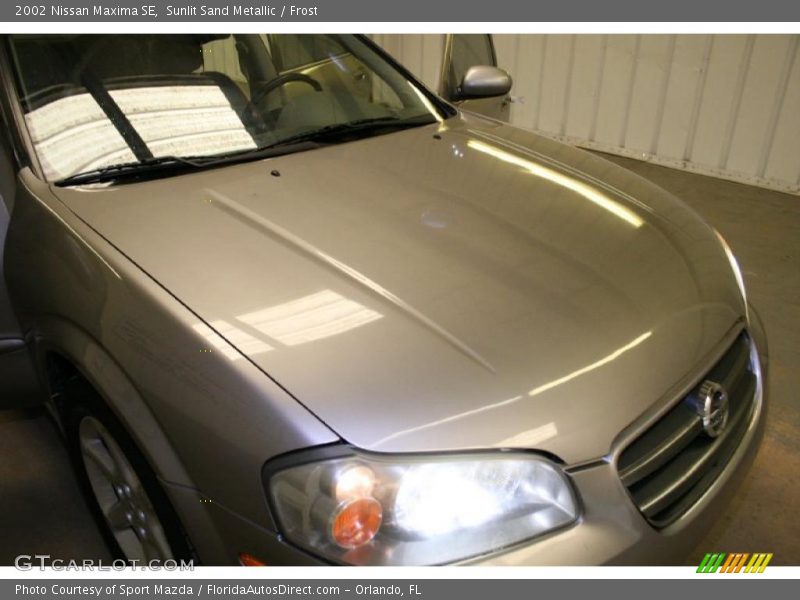 Sunlit Sand Metallic / Frost 2002 Nissan Maxima SE