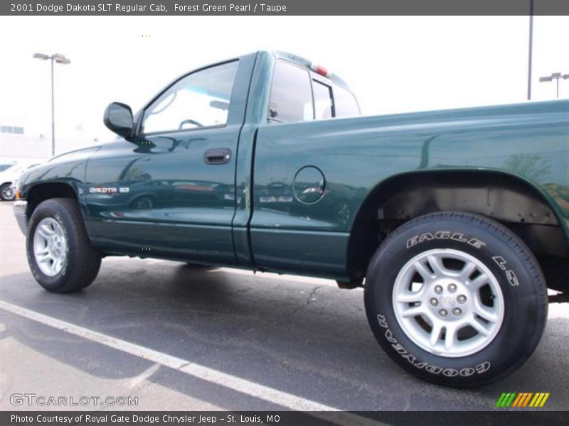Forest Green Pearl / Taupe 2001 Dodge Dakota SLT Regular Cab