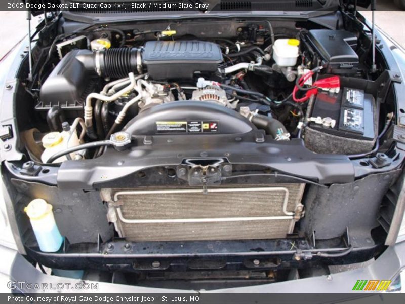 Black / Medium Slate Gray 2005 Dodge Dakota SLT Quad Cab 4x4