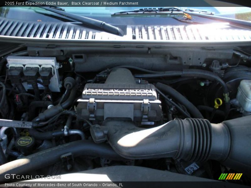 Black Clearcoat / Medium Parchment 2005 Ford Expedition Eddie Bauer