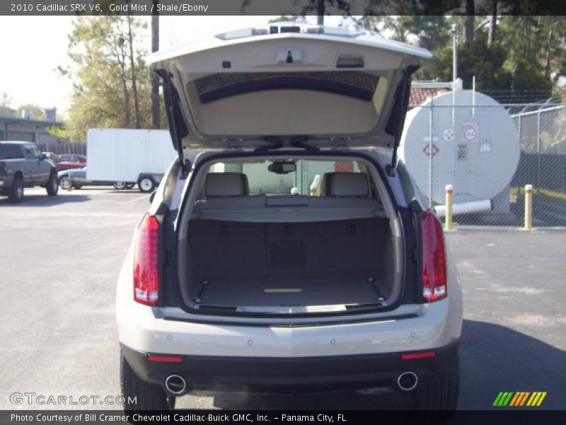 Gold Mist / Shale/Ebony 2010 Cadillac SRX V6