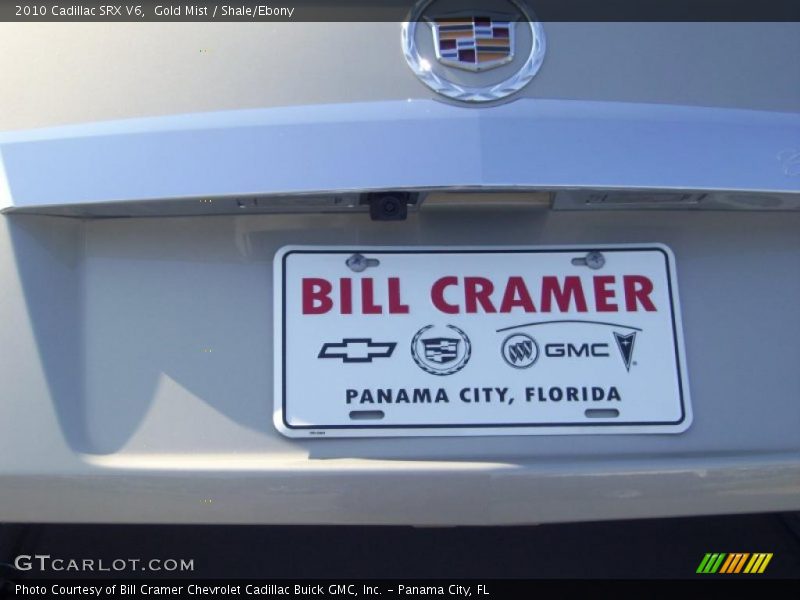 Gold Mist / Shale/Ebony 2010 Cadillac SRX V6