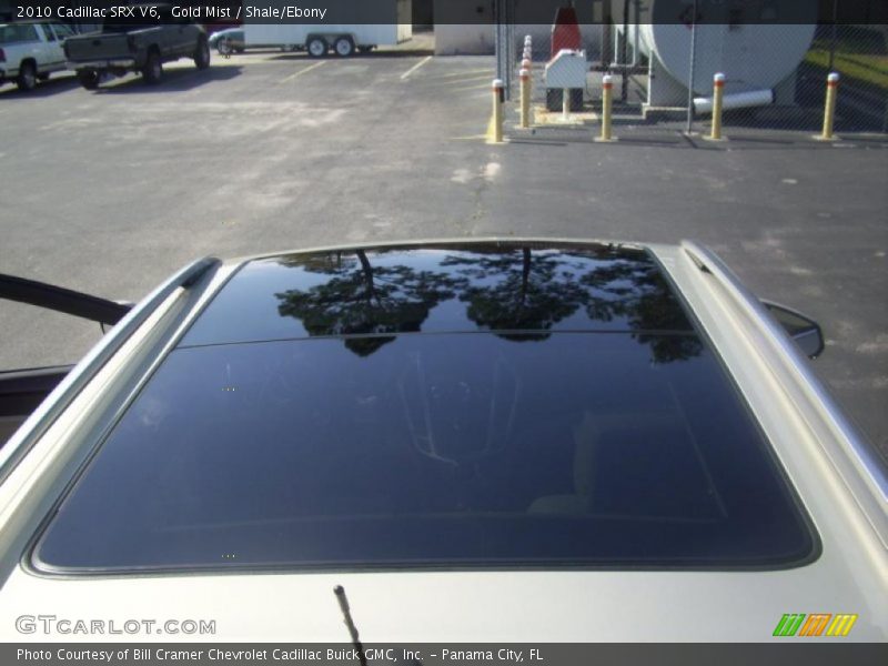Gold Mist / Shale/Ebony 2010 Cadillac SRX V6