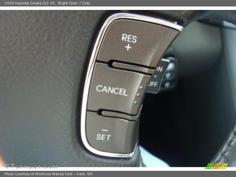 Bright Silver / Gray 2009 Hyundai Sonata GLS V6