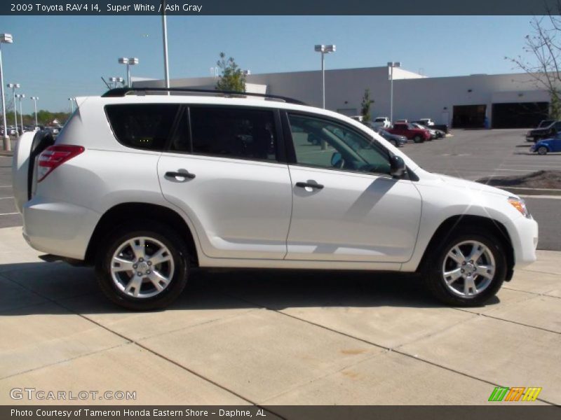 Super White / Ash Gray 2009 Toyota RAV4 I4