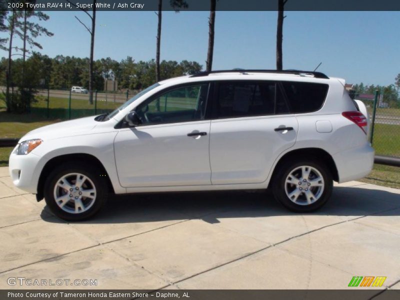 Super White / Ash Gray 2009 Toyota RAV4 I4