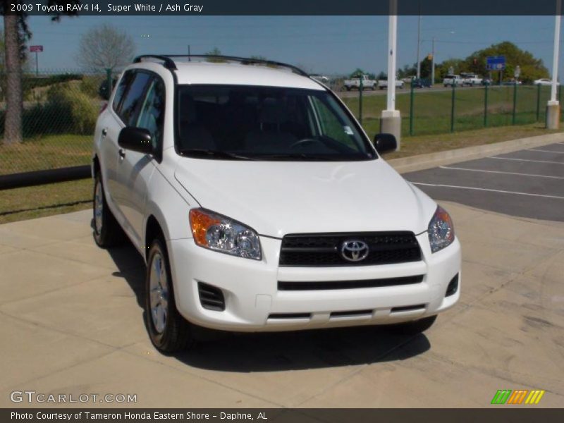 Super White / Ash Gray 2009 Toyota RAV4 I4