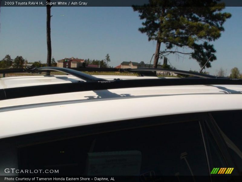 Super White / Ash Gray 2009 Toyota RAV4 I4