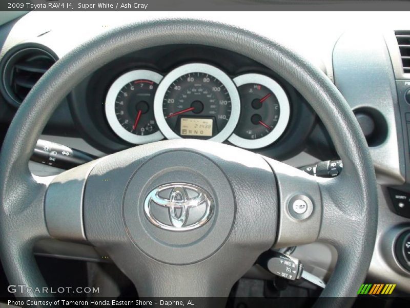 Super White / Ash Gray 2009 Toyota RAV4 I4