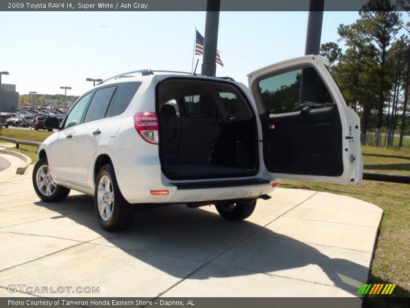 Super White / Ash Gray 2009 Toyota RAV4 I4