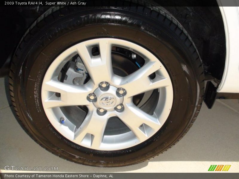 Super White / Ash Gray 2009 Toyota RAV4 I4