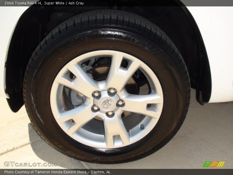 Super White / Ash Gray 2009 Toyota RAV4 I4