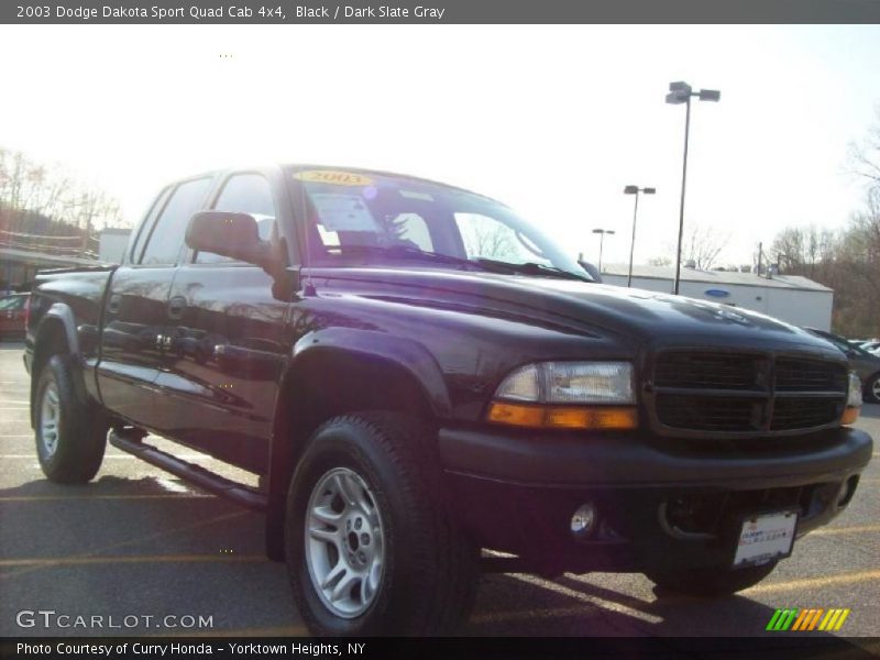 Black / Dark Slate Gray 2003 Dodge Dakota Sport Quad Cab 4x4