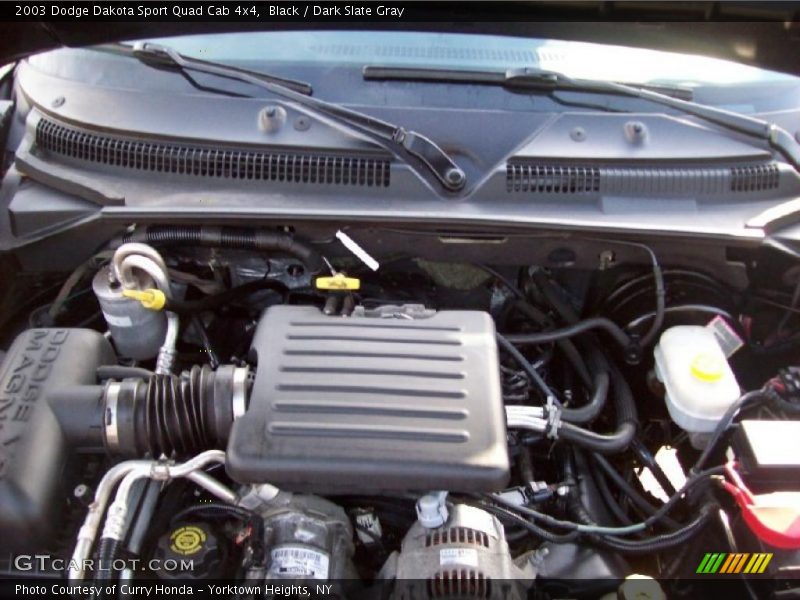 Black / Dark Slate Gray 2003 Dodge Dakota Sport Quad Cab 4x4