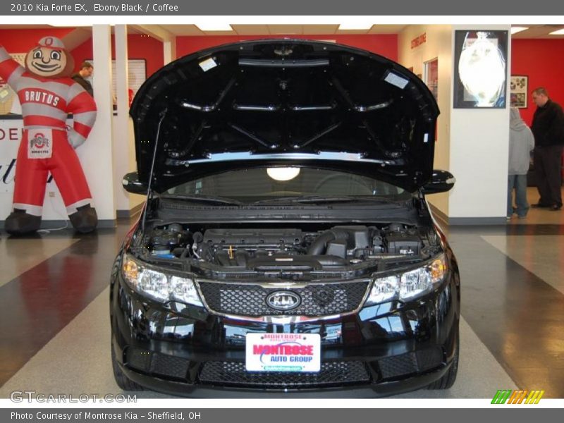 Ebony Black / Coffee 2010 Kia Forte EX