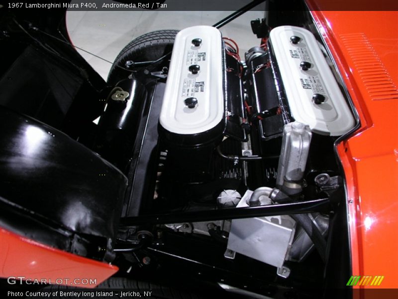  1967 Miura P400 Engine - 3.9L DOHC 24V V12