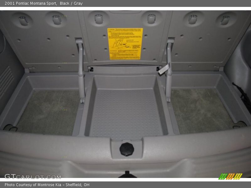 Black / Gray 2001 Pontiac Montana Sport