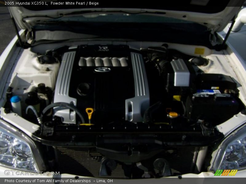 Powder White Pearl / Beige 2005 Hyundai XG350 L