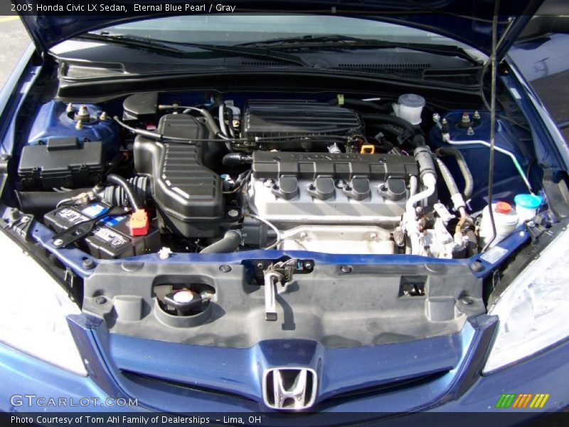 Eternal Blue Pearl / Gray 2005 Honda Civic LX Sedan