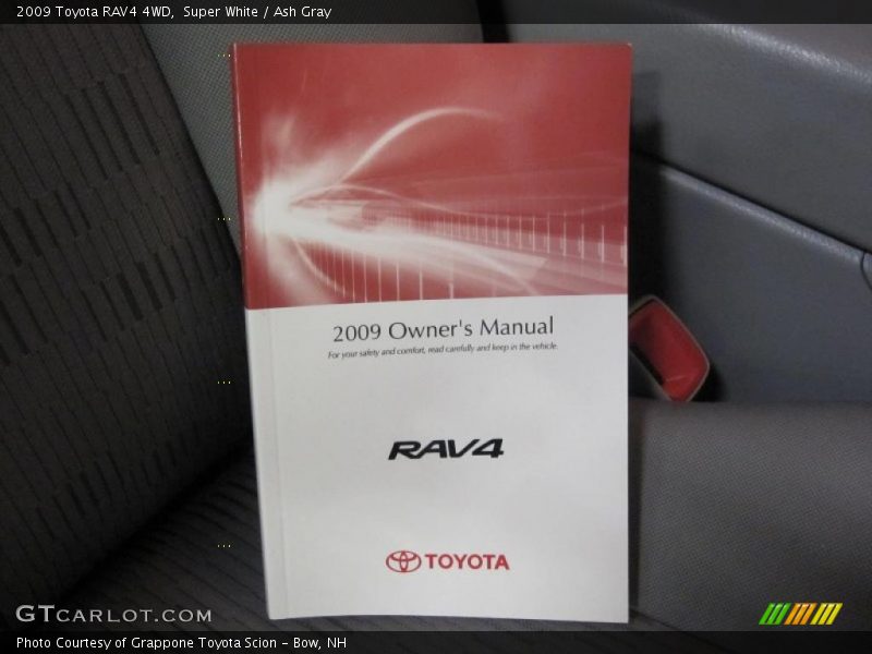Super White / Ash Gray 2009 Toyota RAV4 4WD