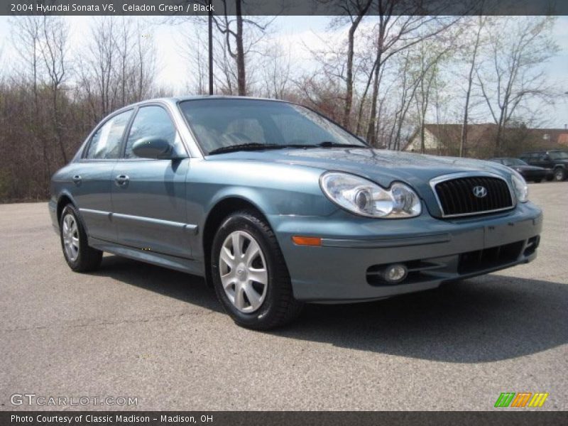 Celadon Green / Black 2004 Hyundai Sonata V6