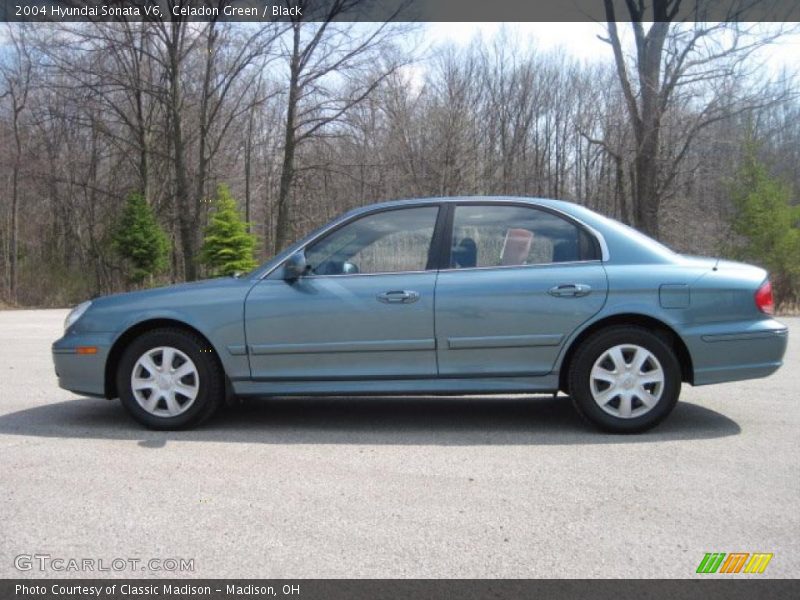Celadon Green / Black 2004 Hyundai Sonata V6