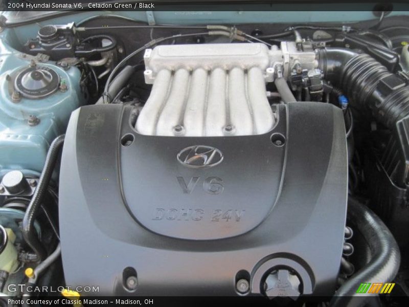 Celadon Green / Black 2004 Hyundai Sonata V6