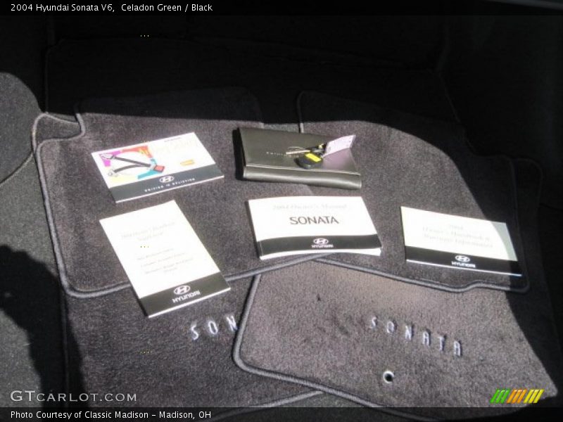 Celadon Green / Black 2004 Hyundai Sonata V6