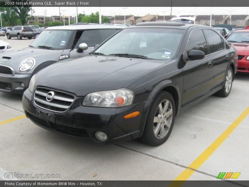 Super Black / Frost 2002 Nissan Maxima GLE