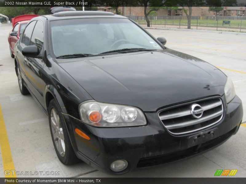 Super Black / Frost 2002 Nissan Maxima GLE