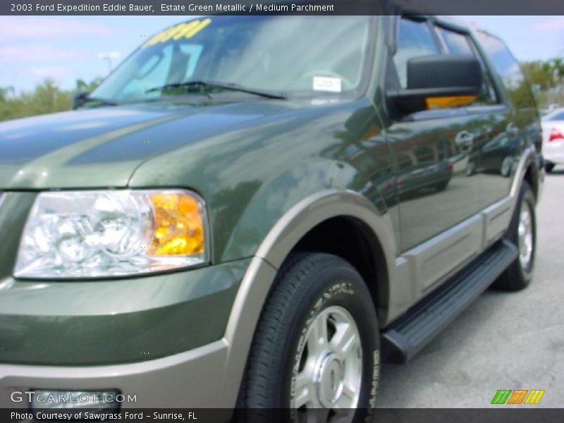 Estate Green Metallic / Medium Parchment 2003 Ford Expedition Eddie Bauer