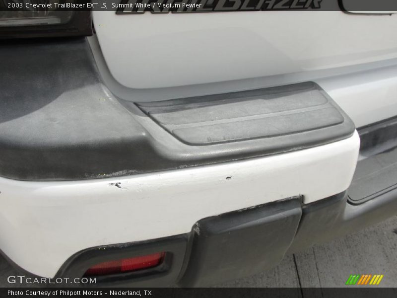 Summit White / Medium Pewter 2003 Chevrolet TrailBlazer EXT LS