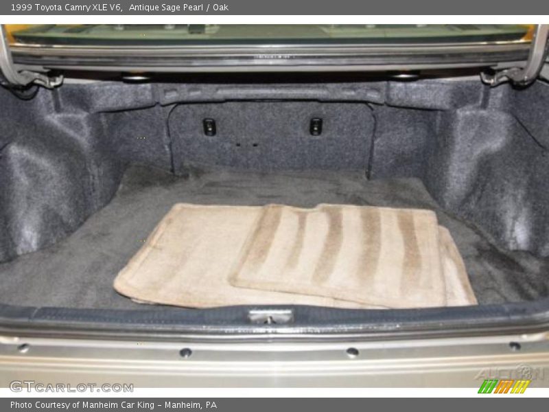 Antique Sage Pearl / Oak 1999 Toyota Camry XLE V6