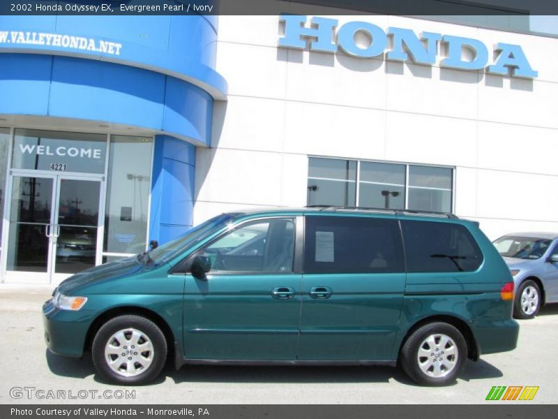 Evergreen Pearl / Ivory 2002 Honda Odyssey EX