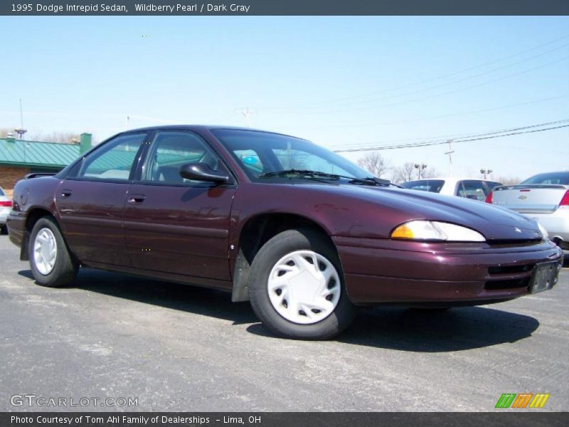 Wildberry Pearl / Dark Gray 1995 Dodge Intrepid Sedan