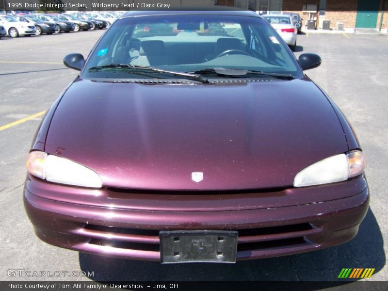 Wildberry Pearl / Dark Gray 1995 Dodge Intrepid Sedan