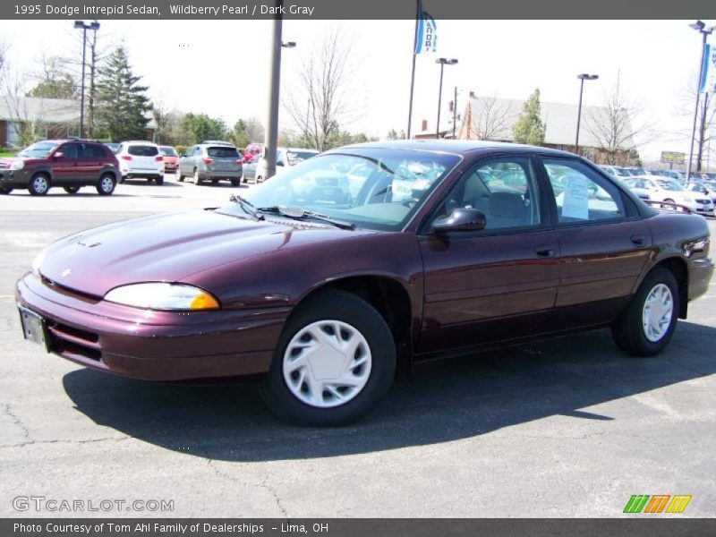 Wildberry Pearl / Dark Gray 1995 Dodge Intrepid Sedan