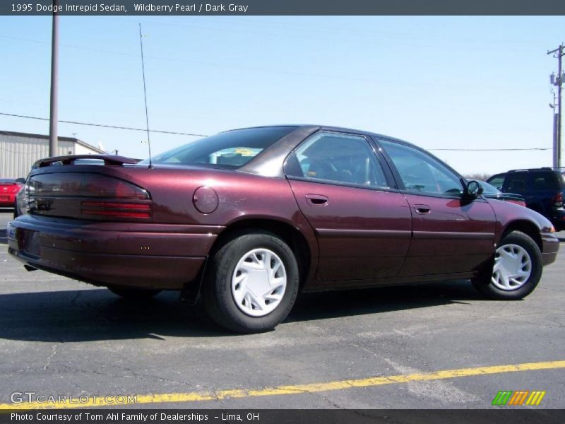 Wildberry Pearl / Dark Gray 1995 Dodge Intrepid Sedan
