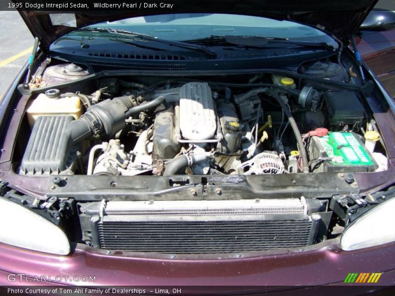 Wildberry Pearl / Dark Gray 1995 Dodge Intrepid Sedan