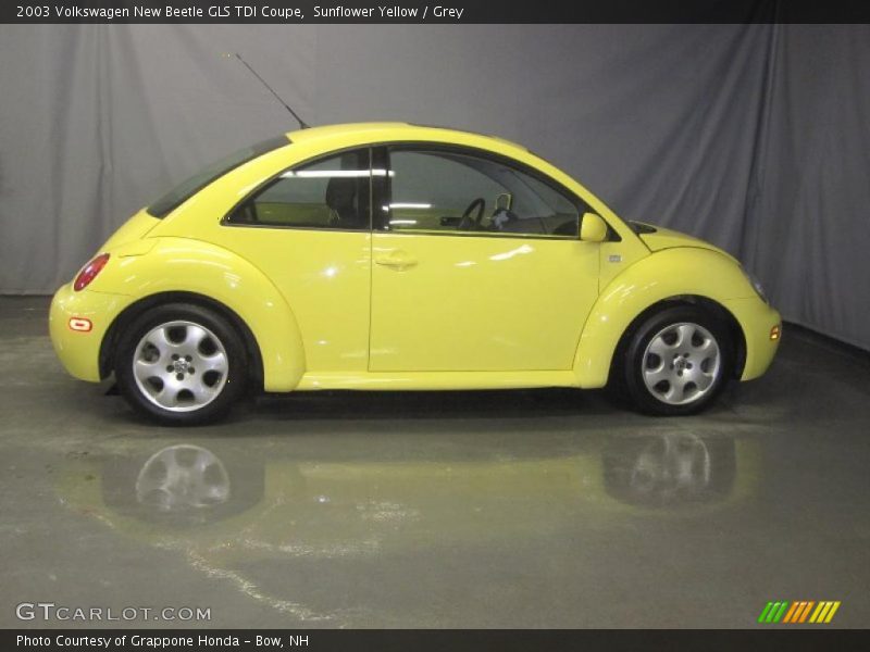 Sunflower Yellow / Grey 2003 Volkswagen New Beetle GLS TDI Coupe