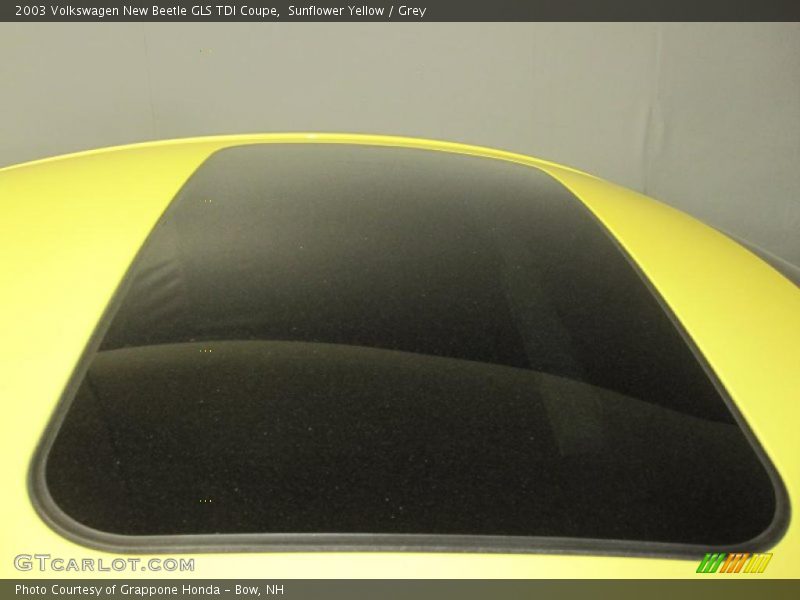 Sunflower Yellow / Grey 2003 Volkswagen New Beetle GLS TDI Coupe
