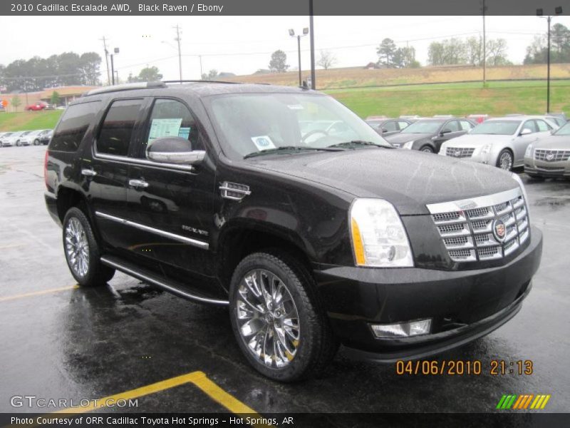 Black Raven / Ebony 2010 Cadillac Escalade AWD