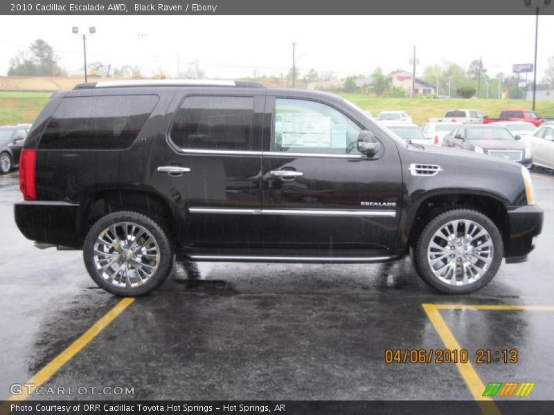 Black Raven / Ebony 2010 Cadillac Escalade AWD
