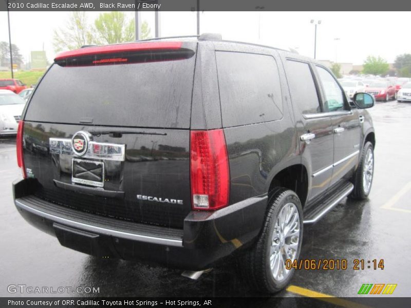 Black Raven / Ebony 2010 Cadillac Escalade AWD
