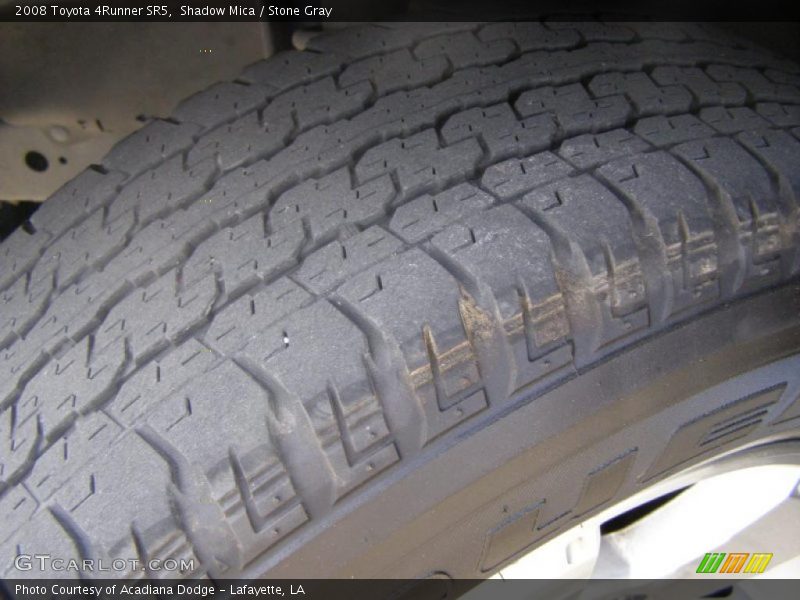 Shadow Mica / Stone Gray 2008 Toyota 4Runner SR5