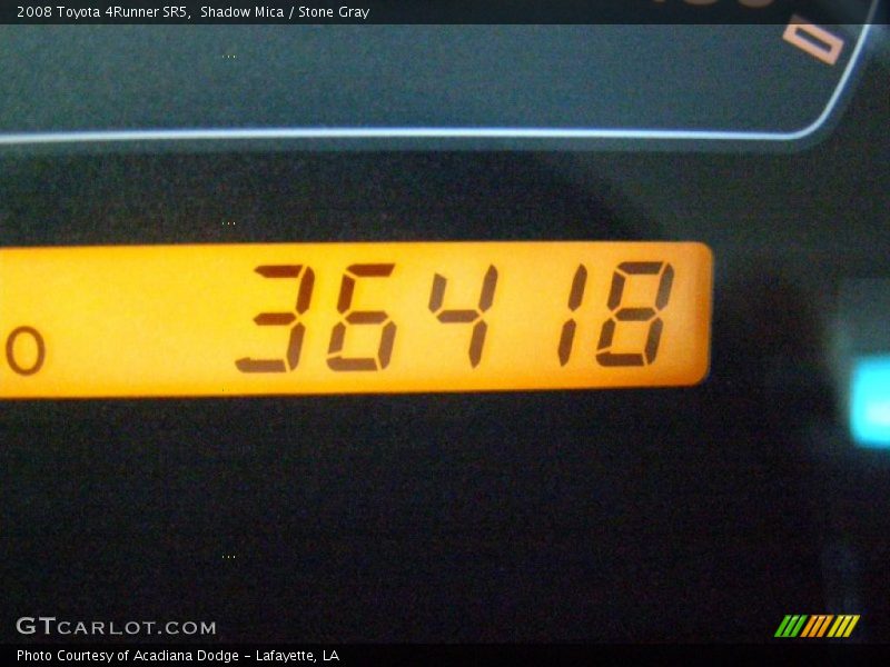 Shadow Mica / Stone Gray 2008 Toyota 4Runner SR5
