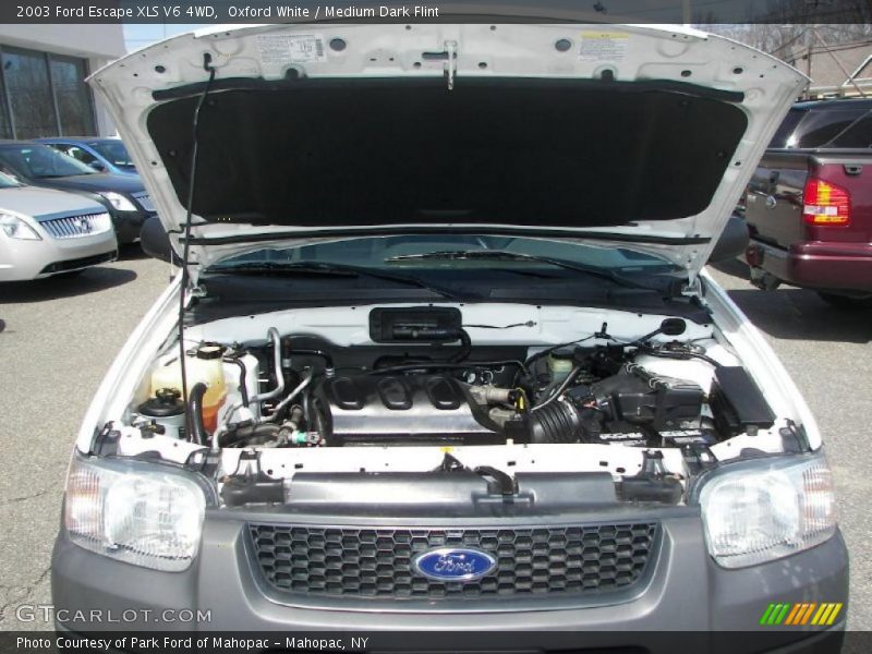 Oxford White / Medium Dark Flint 2003 Ford Escape XLS V6 4WD